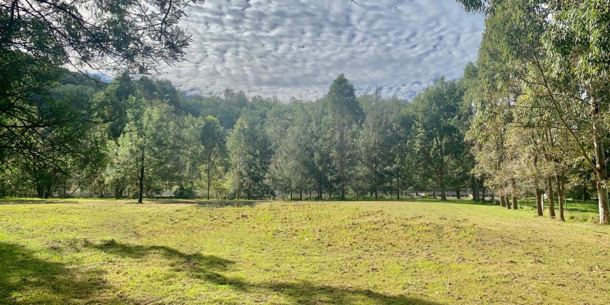 Musgrove Realty Home