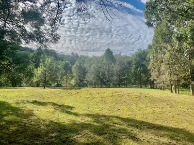 Anthony P testimonial image