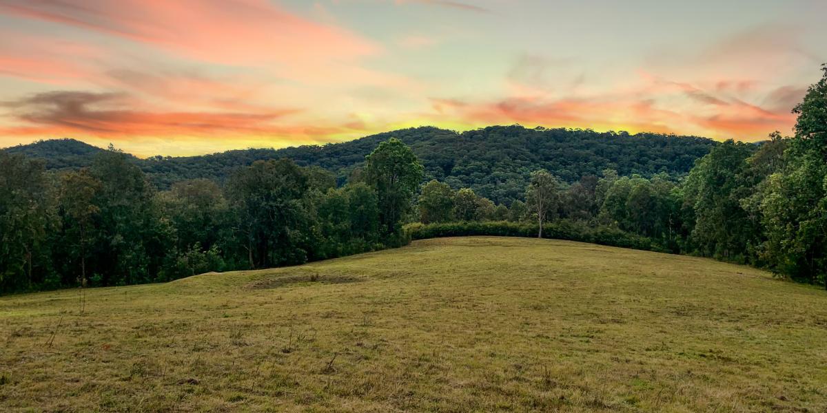 Musgrove Realty Home