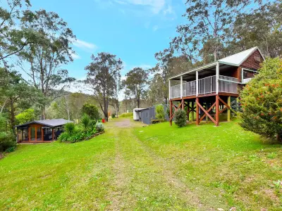 Anne L testimonial image