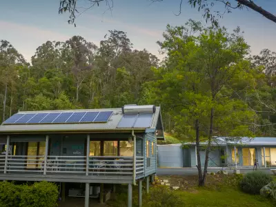 Wendy D testimonial image