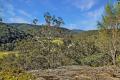 Rare Acreage with Building Envelope Approved in the Wollombi Valley