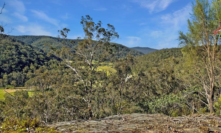 Rare Acreage with Building Envelope Approved in the Wollombi Valley