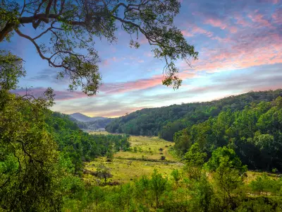 Edward P testimonial image