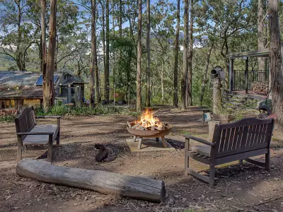 Tony R testimonial image