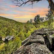 Buyer of a Rural in Wollombi