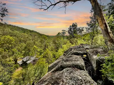 Michael N testimonial image