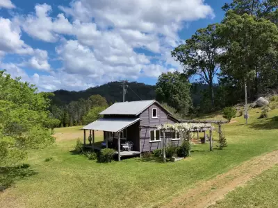 Peter F testimonial image