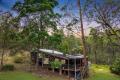 'Wombat Valley' - A Beautiful Wildlife Sanctuary