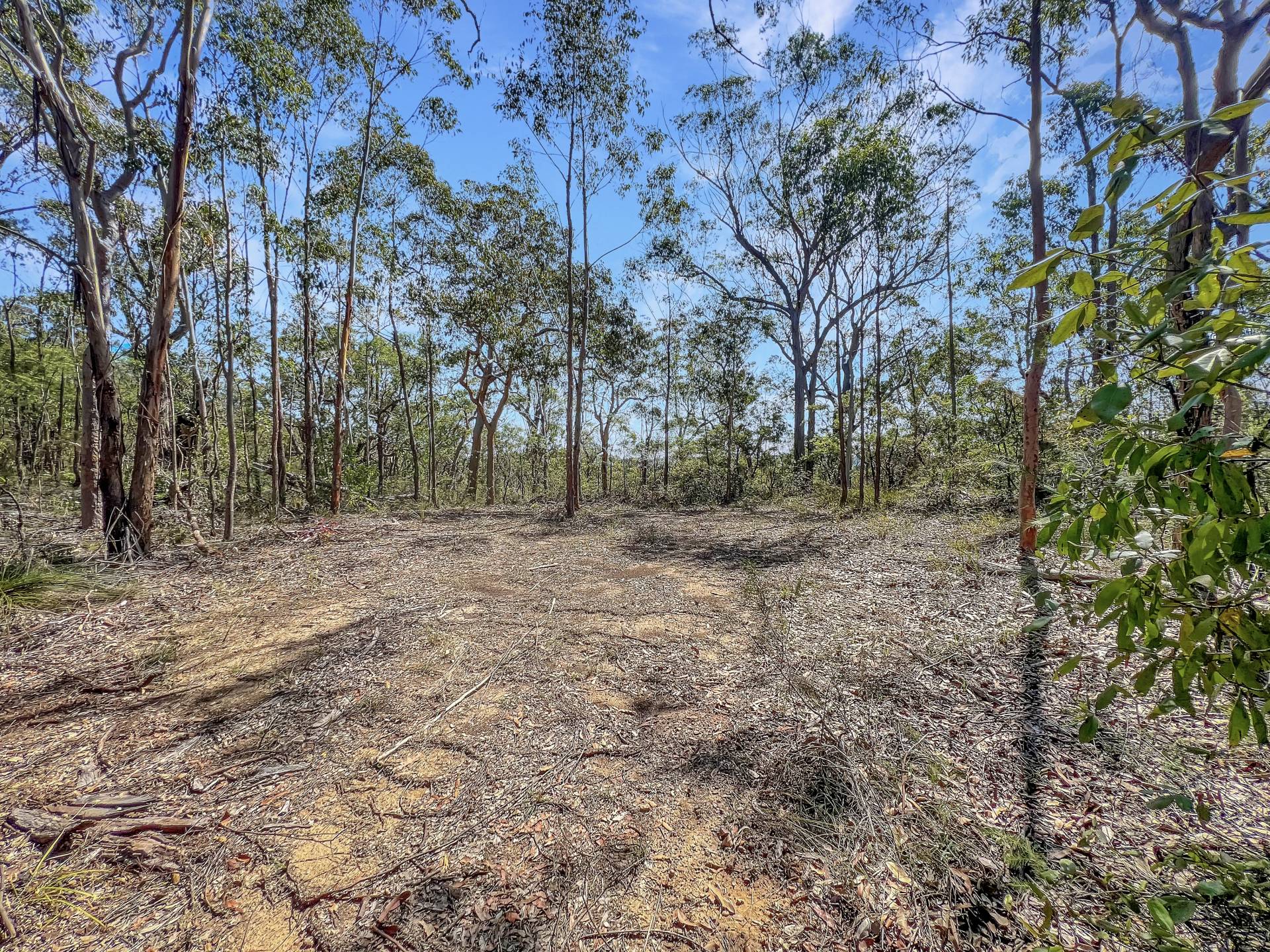 Musgrove Realty - Pristine Bushland Sanctuary