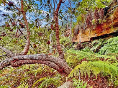 Morgan J testimonial image