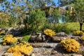 Storybook Home on Picturesque Wollombi Acres