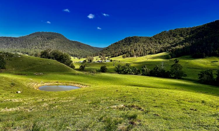 The Best of the Watagan Valley – Prime 108 Acres of Diverse Lush Pasture