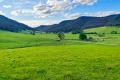 Rare Pastured Small-Acreage in Pristine Watagan Valley