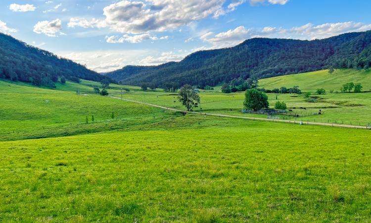 Rare Pastured Small-Acreage in Pristine Watagan Valley