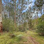 Buyer of a Rural in Paynes Crossing