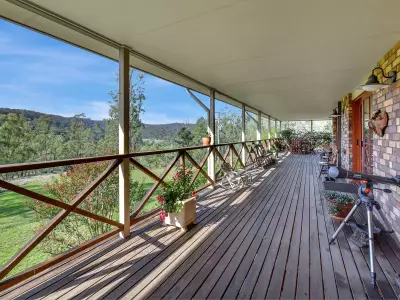 Vicki D testimonial image