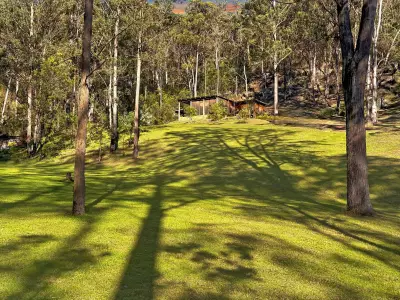 Alison P testimonial image