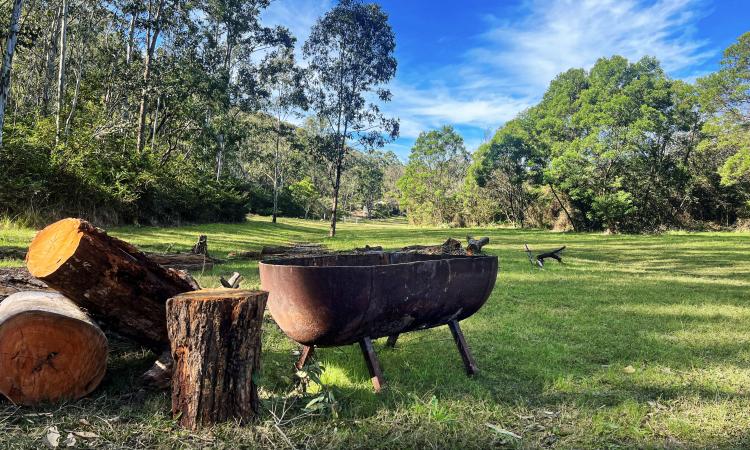 Picture Perfect Weekender Acres in Ideal Wollombi Location