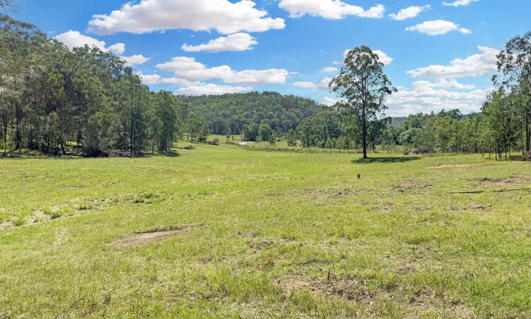 Diverse 88 Acres in a Prime Wollombi Location