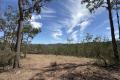 Diverse Acreage with Wollombi Brook Frontage