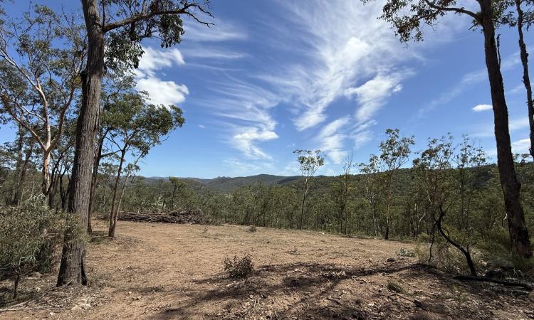 Diverse Acreage with Wollombi Brook Frontage