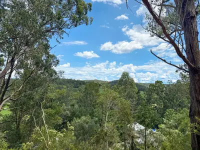 Fi Y testimonial image