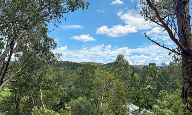Weekender Sanctuary in the Wollombi Village!