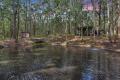 Private 156-acre Rural Oasis Adjoining State Forest!
