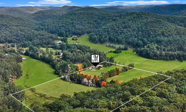 'Currajong Farm' - Prime Acreage in a Tightly Held Laguna Locale
