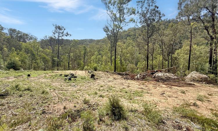 80 Acres of Pristine Bushland