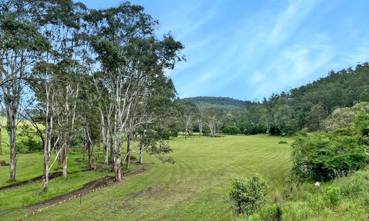 Pastured Acres within the 'Historic Wollombi Village'