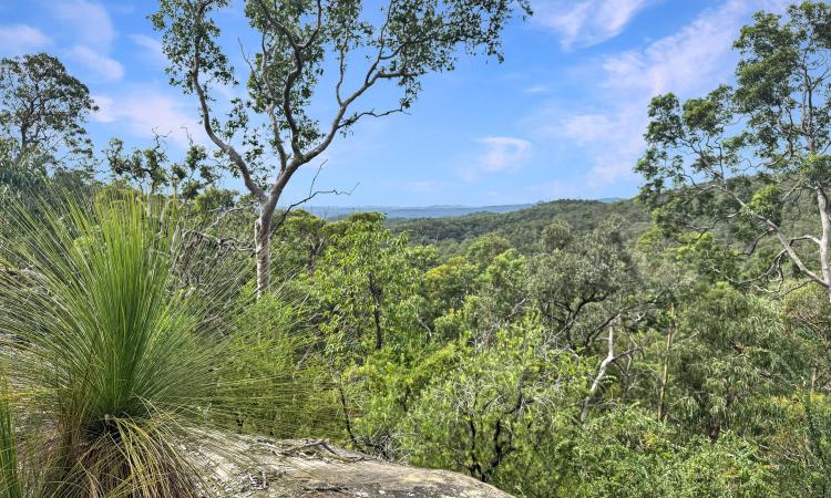 Diverse Bushland Sanctuary