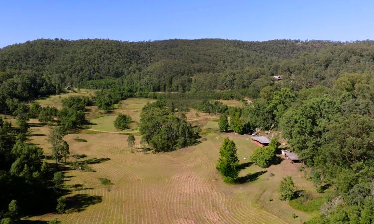 Idyllic Country Homestead on 80 Private Acres