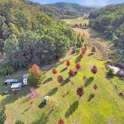 Buyer of a Rural in Wollombi