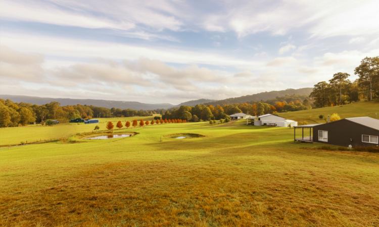 Spectacular Acreage with a Country Homestead and Two Separate Studios
