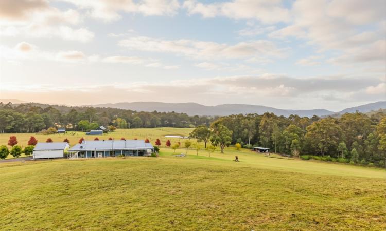Spectacular Acreage with a Country Homestead and Two Separate Studios
