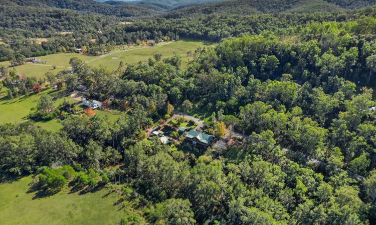 Stunning Architecturally Designed Treehouse-Style Residence