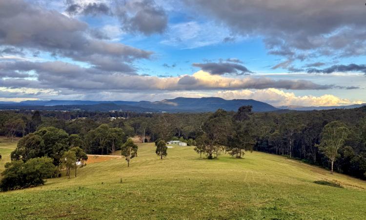 Prime Acreage on Multiple Titles with Magnificent Views!