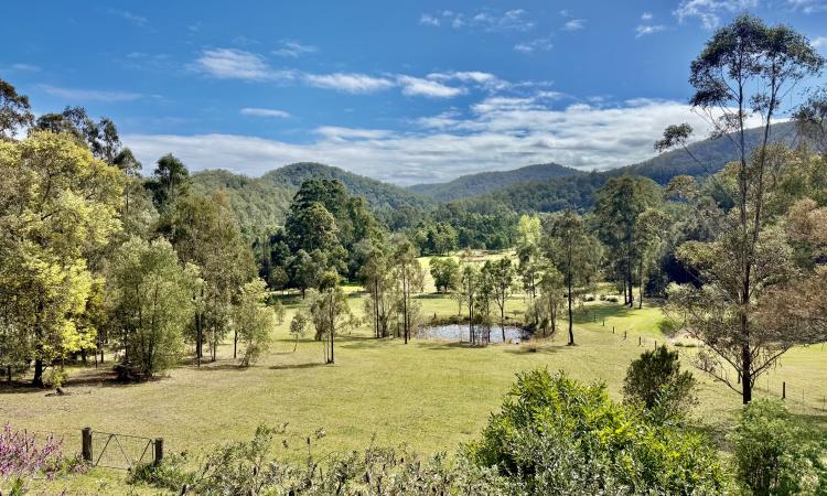 North-Facing Valley Views on Easy-Care Acreage
