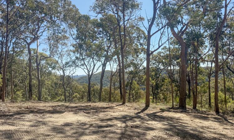 160 Acres of Ridgetop Paradise