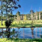 Musgrove Realty is a beautiful, family-owned business that you can trust!