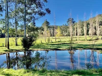 Tara Reid testimonial image