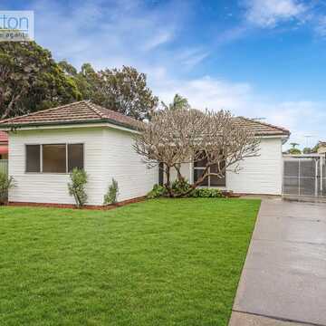 Adam S testimonial image