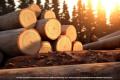 Own Your Future in Building Supplies: Freehold Timber & Hardware Business