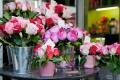 Flower Shop * Established for over 15 Years with Same Owner * in Bulleen [2105151]