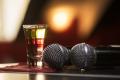 Once In a Lifetime Opportunity- Profitable Karaoke Bar *Near Mt Waverly [2206162]