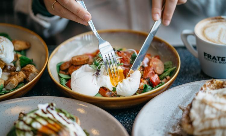 Under full management Profitable café near Heidelberg, Taking $12,000, Low rent with long lease [2504292]