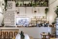 Café in Surrey Hills *Tkg $8,000 pw *Cheap Rent of $500 pw [2306091]