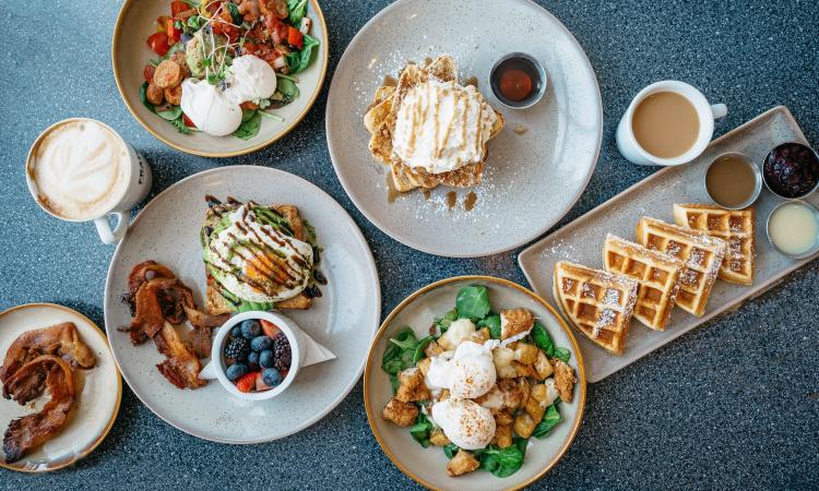 Established Café now up for sale! Prime Position, Strong Sales, Ready to Operate [2507051]